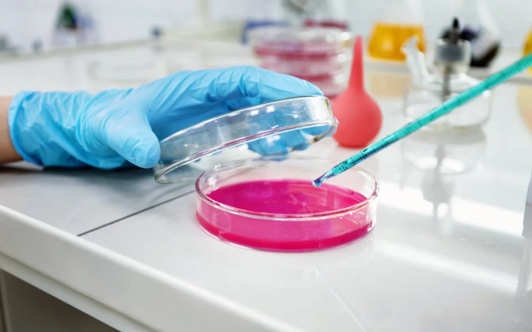 Logiciel LIMS sur mesure pour piloter les études in vivo et in vitro d’une CRO préclinique